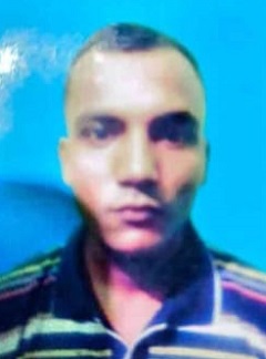 image-here